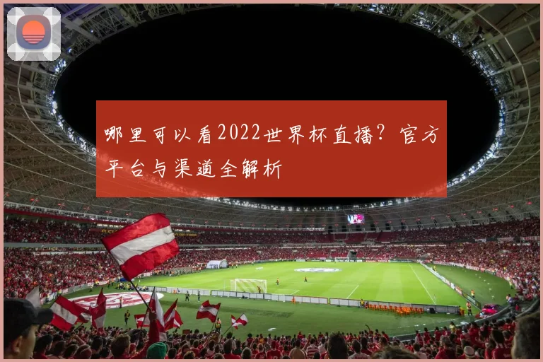 哪里可以看2022世界杯直播？官方平台与渠道全解析